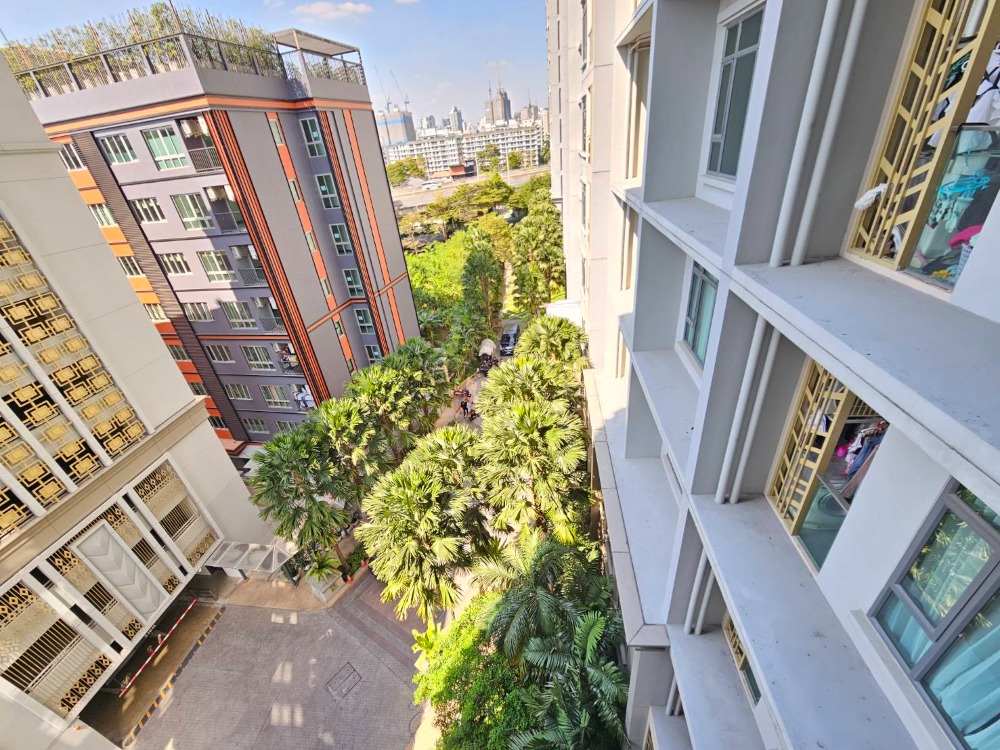 ให้เช่าคอนโด : เมย์แฟร์ สุขุมวิท 50   FOR RENT : Mayfair Sukhumvit 50 (AS-02) (Close to BTS Onnut ) ID Line : @condo66