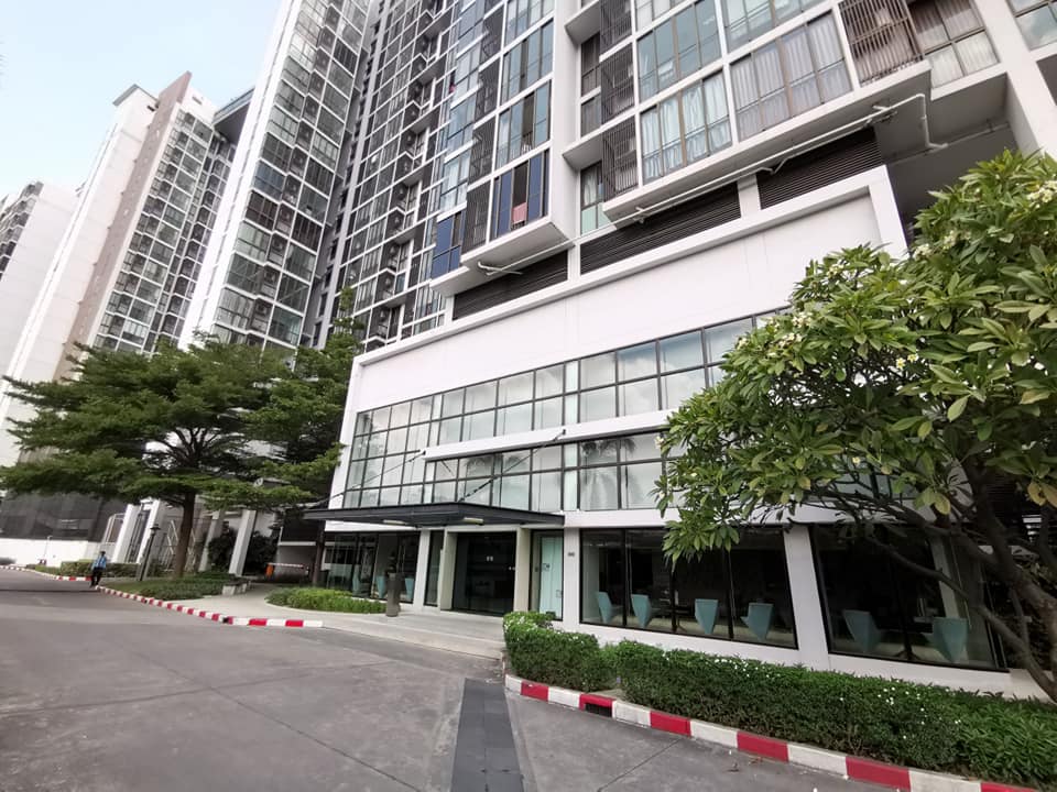 Condo for rent  Ideo mix sukhumvit 103 ไอดิโอมิกซ์ สุขุมวิท 103 ((ฺBTS Udomsuk ))AS-02 Line id : @condo66